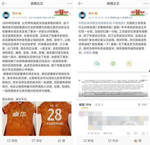 讨薪新闻爆料网站下载,揭示劳动者权益维护现状  第3张